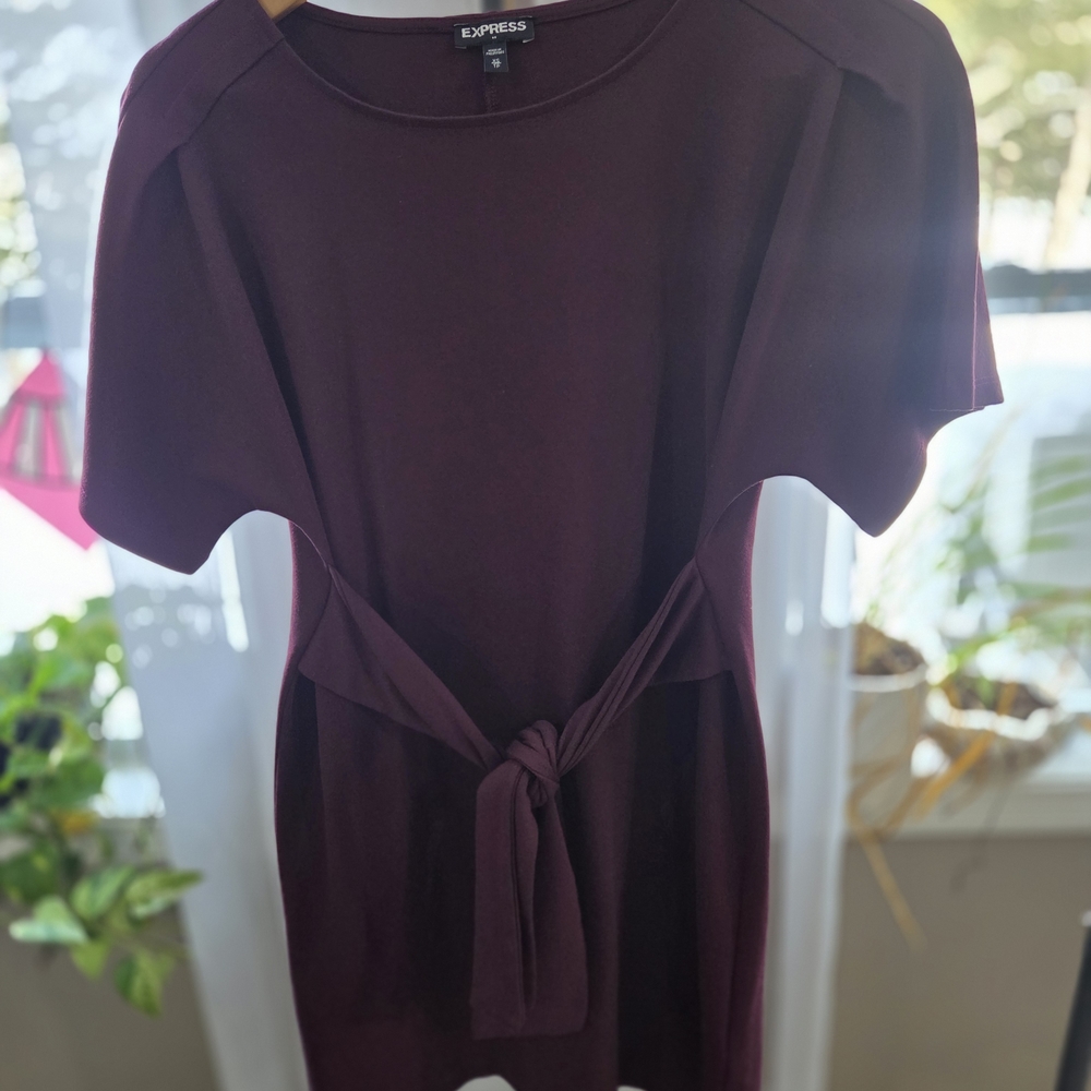 Express Women's Burgundy Top